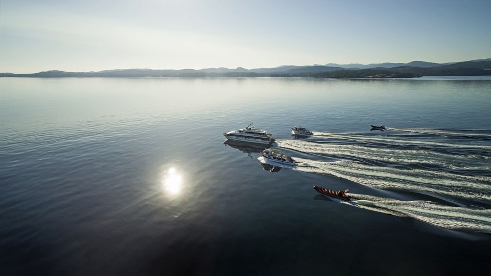 From Victoria: Whale Watching 3-Hour Trip on Covered Boat