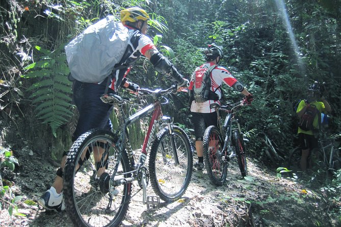 Full-Day Advanced XC Downhill Biking at Doi Suthep National Park Chiang Mai
