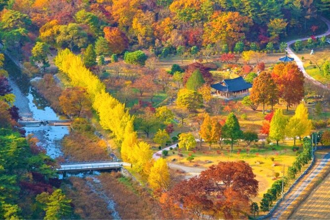 1 full day autumn tour from busan to unmunsa bhikkhuni temple Full-Day Autumn Tour From Busan to Unmunsa Bhikkhuni Temple