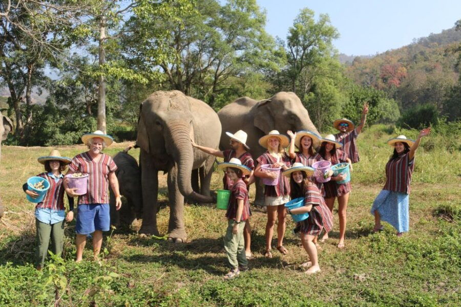 1 full day bamboo raftingelephant carejungle waterfall Full Day Bamboo RaftingElephant CareJungle Waterfall