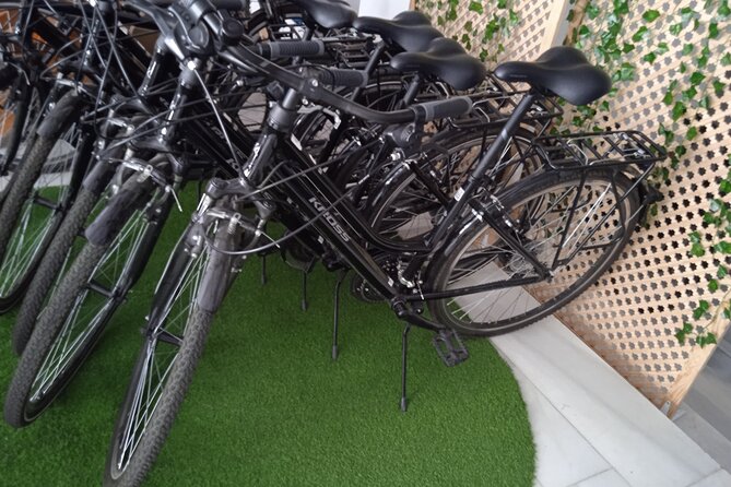 1 full day bike rental in seville Full Day Bike Rental in Seville
