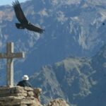 1 full day colca canyon tour from arequipa Full-Day Colca Canyon Tour From Arequipa