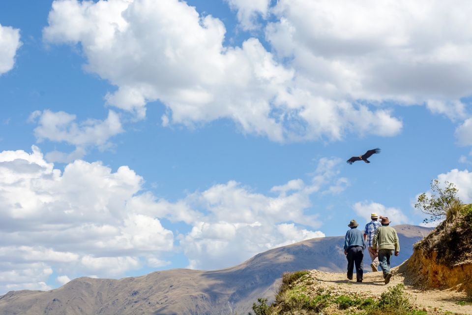 1 full day condor viewpoint inca sites tour Full-Day Condor Viewpoint & Inca Sites Tour