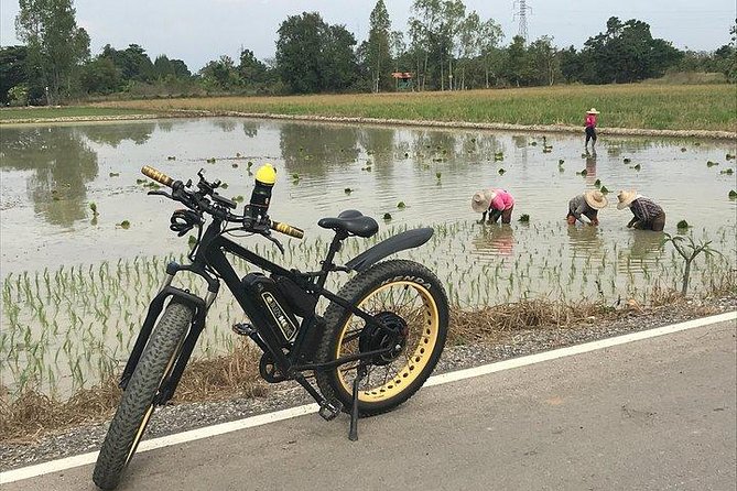 Full-Day E-Bike Adventure Ping River and Nam Phrae (Flat-Hilly, Guided)