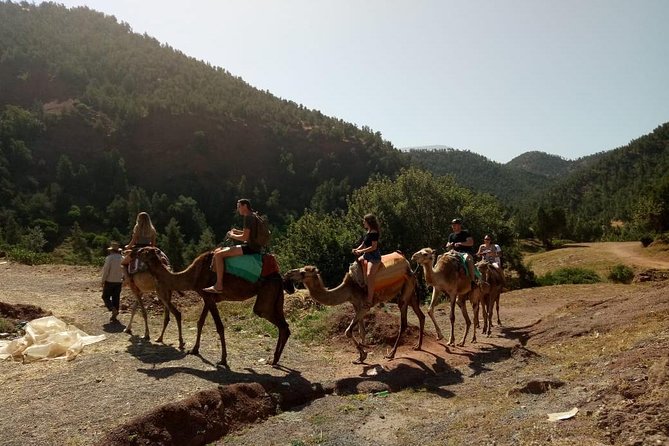 Full-Day Excursion to 3 Valleys From Marrakech Marrakech - Booking and Support Information