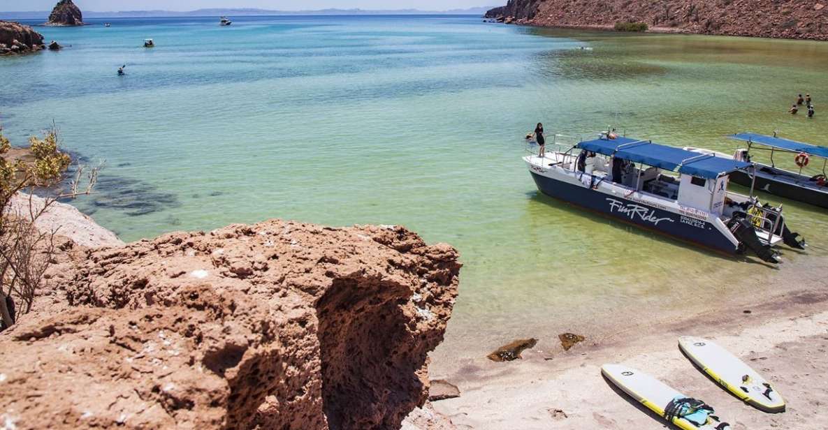 Full-Day Guided Tour Espíritu Santo Island & Sea Lions