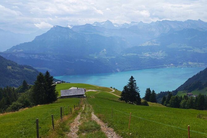 Full-Day Hiking Swiss Alps and Lake Lucerne With Pick-Up