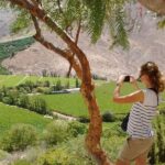 1 full day history and flavors tour in the elqui valley Full Day History and Flavors Tour in the Elqui Valley