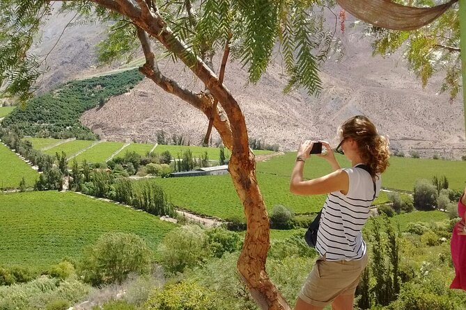 Full Day History and Flavors Tour in the Elqui Valley