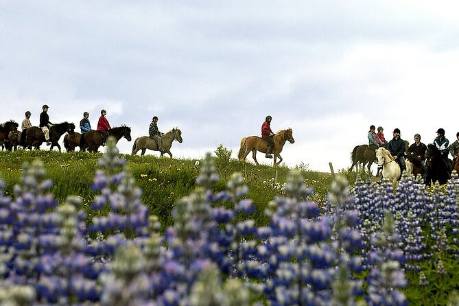 Full-Day Horse Riding and Golden Circle Tour in Iceland