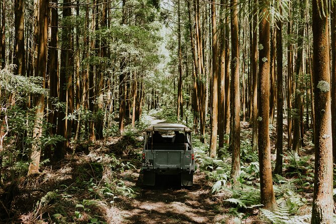 Full Day Jeep Safari Tour – Terceira Island