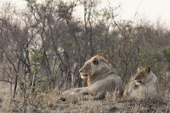Full Day Kruger National Park