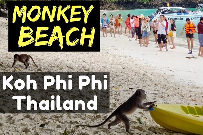 Full Day Phi Phi Island Tour and Snorkel Free Transfer