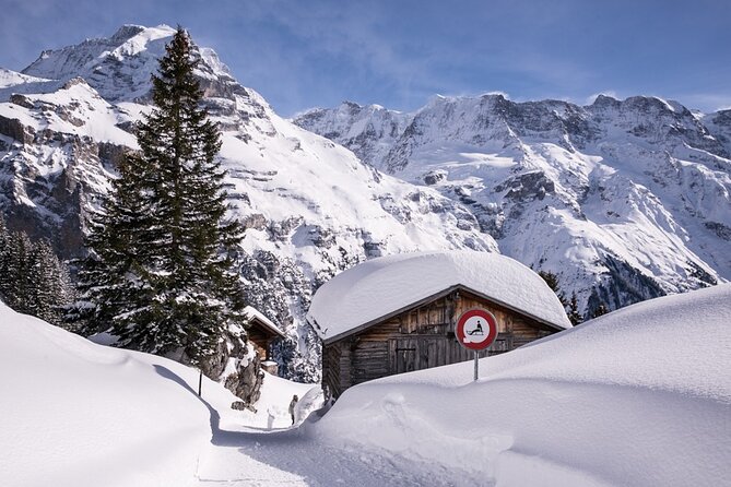 Full Day Private Guided Scenic Train Tour to the Swiss Alps