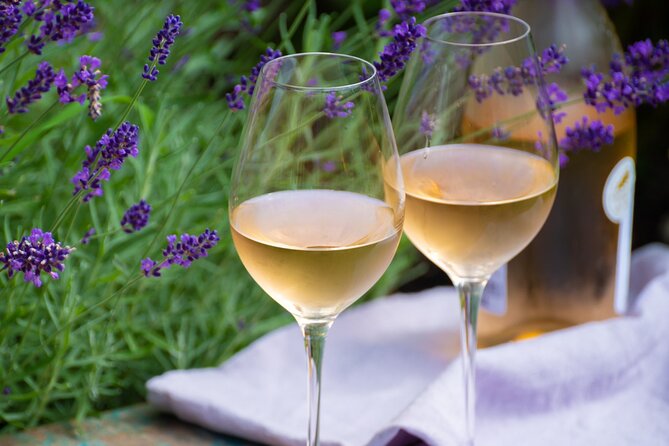 Full-Day Private Provence Wine Tour Experience From Nice