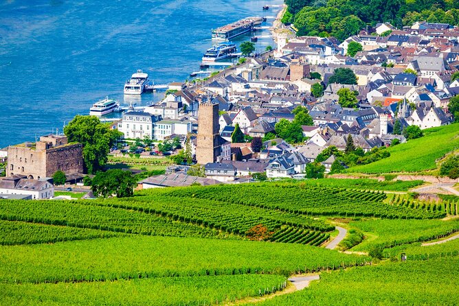 Full Day Private Rhine Valley Wine Tour Experience From Frankfurt