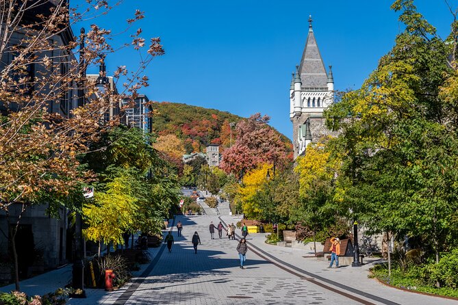 Full Day Private Shore Tour in Montreal From Montreal Cruise Port