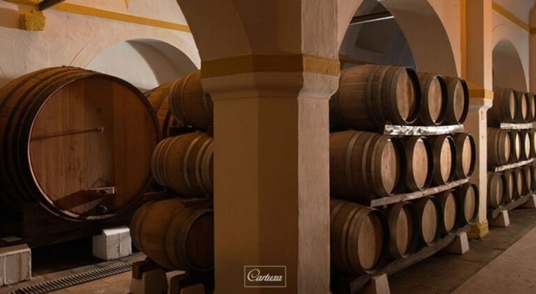 Full-Day Private Tour in Évora With Winery Tour From Lisbon