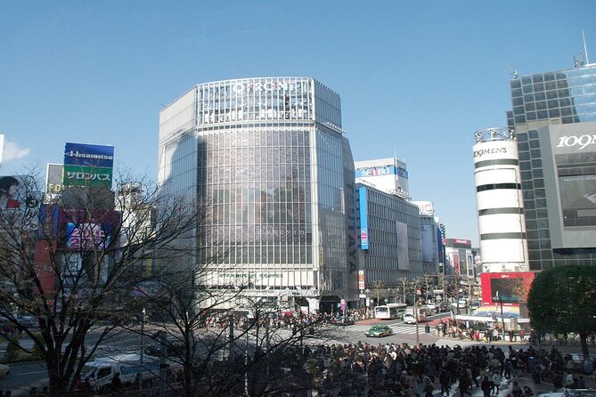 Full-Day Private Tour in New Shibuya