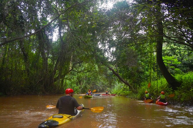 Full-Day River Kayaking Trip in Northern Thailand Jungle From Chiang Mai