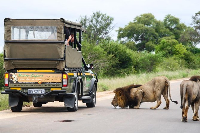 1 full day safari kruger national park Full Day Safari - Kruger National Park