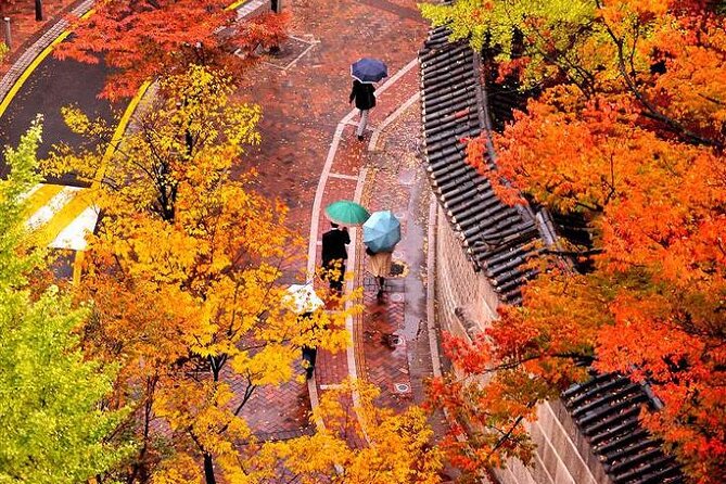 Full-Day Seoul Autumn Foliage Private Guided Tour