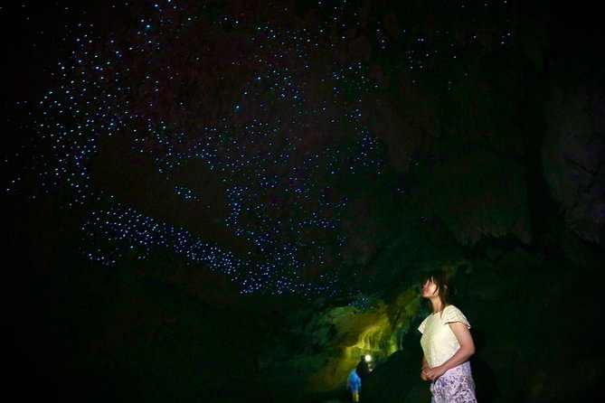 1 full day small group glowworm exploration tour in new zealand Full-Day Small-Group Glowworm Exploration Tour in New Zealand