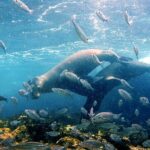 1 full day snorkeling tour santa fe island and playa escondida Full Day Snorkeling Tour Santa Fe Island and Playa Escondida