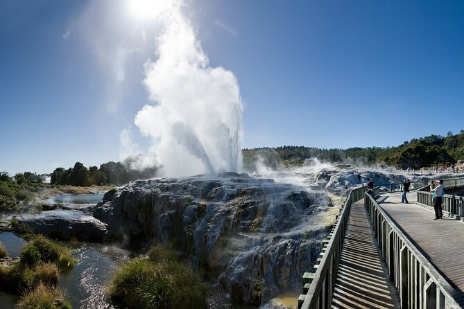 Full-Day Te Puia Geothermal Valley Experience From Auckland
