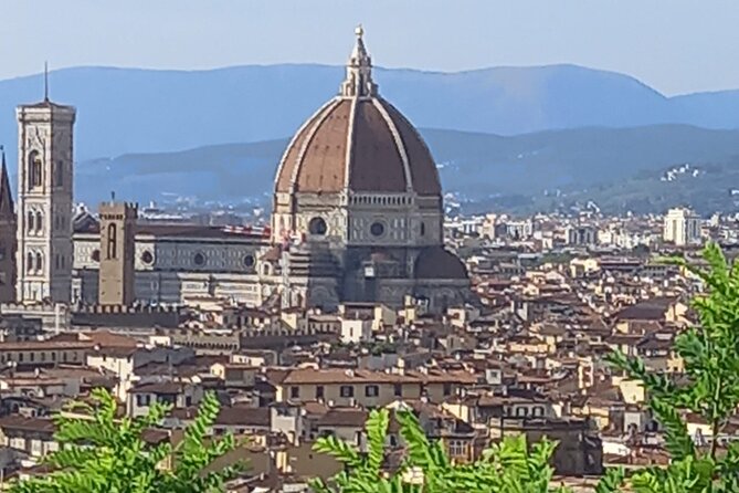 Full Day Tour in Pisa and Florence