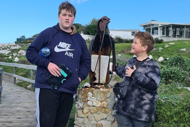 1 full day tour stony point penguin colony at bettys bay up to 10 persons Full-Day Tour Stony Point Penguin Colony at Bettys Bay (Up to 10 Persons)