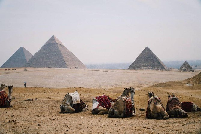 Full Day Tour to Pyramids of Giza, Saqqara Step Pyramids & Sound and Light Show