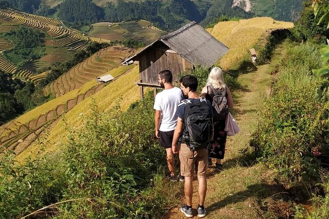 1 full day trekking mu cang chai Full Day Trekking Mu Cang Chai