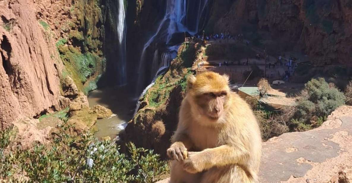 Full-Day Trip to Ouzoud Waterfalls