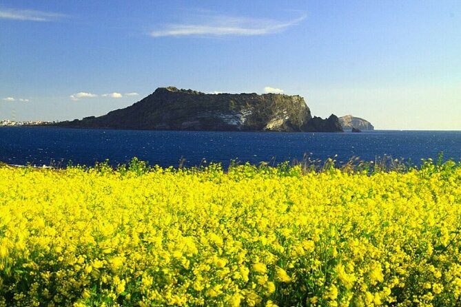Full-Day Visiting Jeju Island Private Tour With Lunch in Jeju