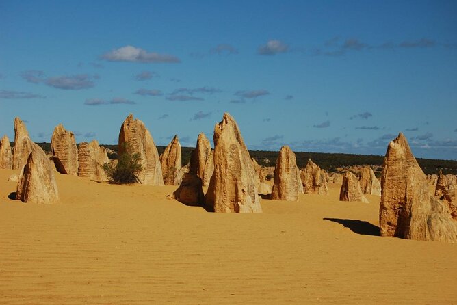 1 full day wave rock and pinnacles tour Full Day Wave Rock and Pinnacles Tour