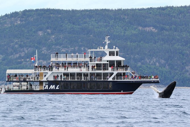 Full-Day Whale Watching Cruise From Quebec City