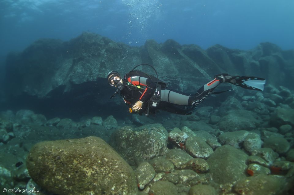 1 funchal certified scuba diving guided tour Funchal: Certified Scuba Diving, Guided Tour