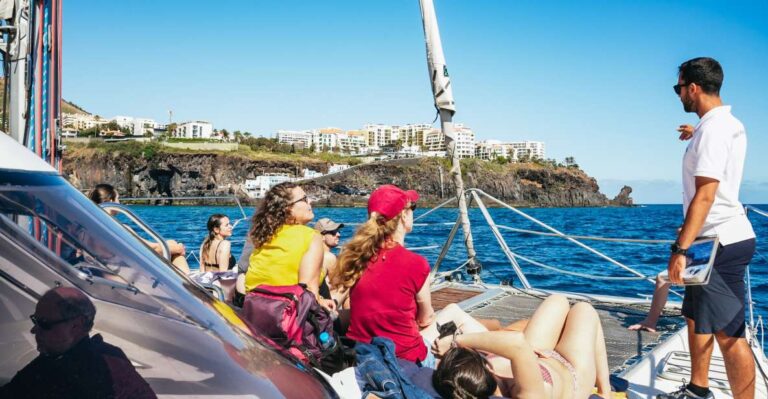 Funchal: Dolphin and Whale Watching by Luxury Catamaran