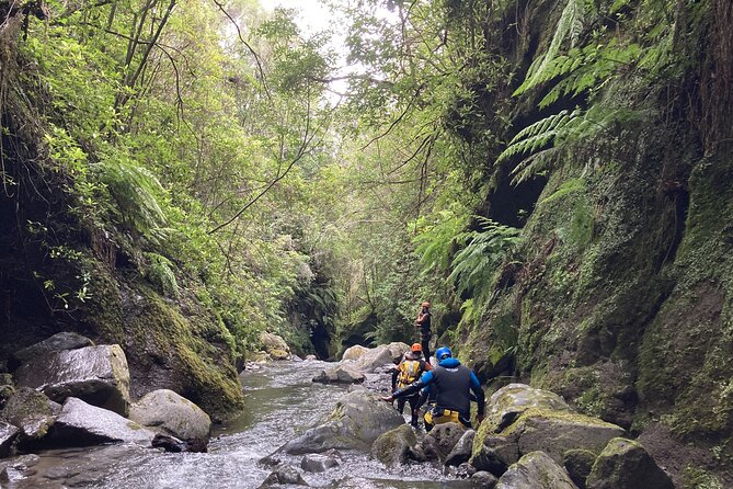 1 funchal half day beginners canyoning Funchal: Half-day Beginners Canyoning