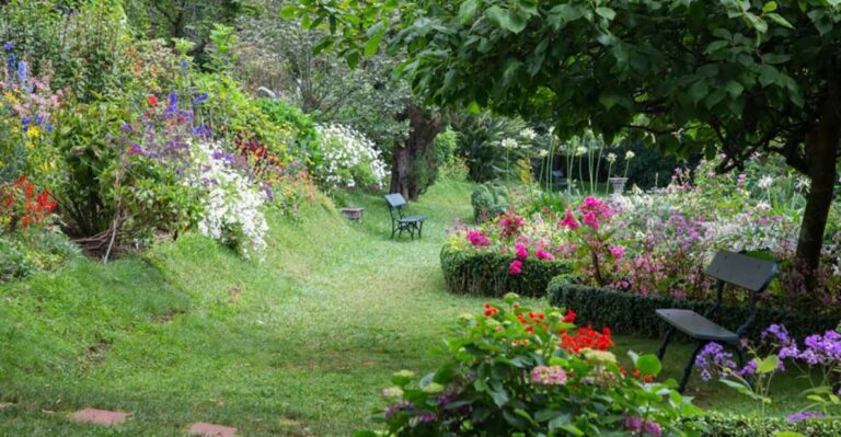 Funchal: Palheiro Gardens and Old Town Private Tuk Tuk Tour