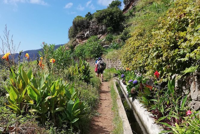 Funchal Small-Group Marocos to Mimosa Valley Hike