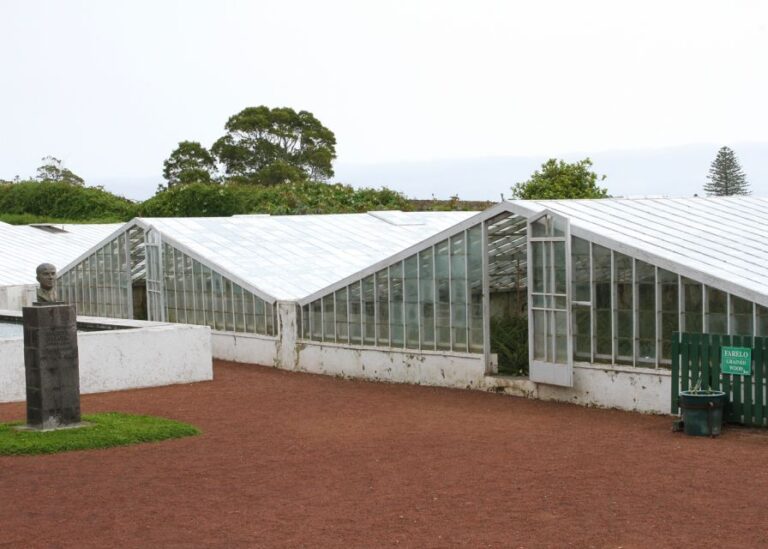 Furnas Lake & Volcano Tour