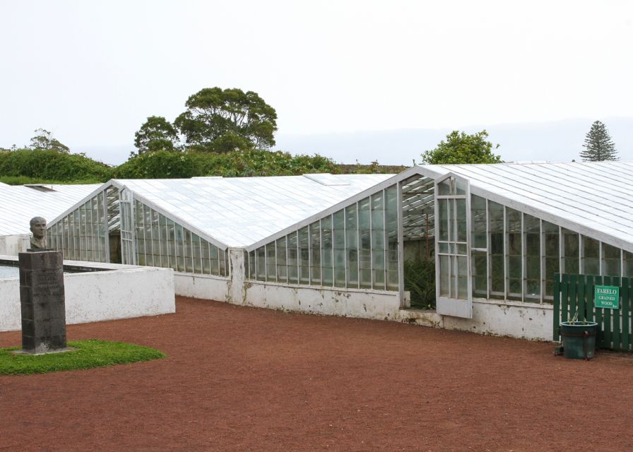 1 furnas lake volcano tour Furnas Lake & Volcano Tour