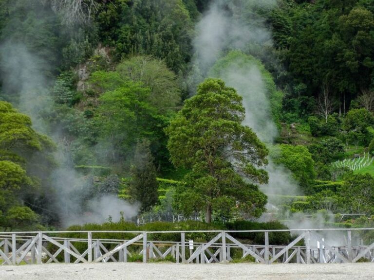 Furnas: Thermal Springs & Tea Plantation Day Tour With Lunch