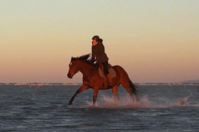 Gallop on Deauville Beach