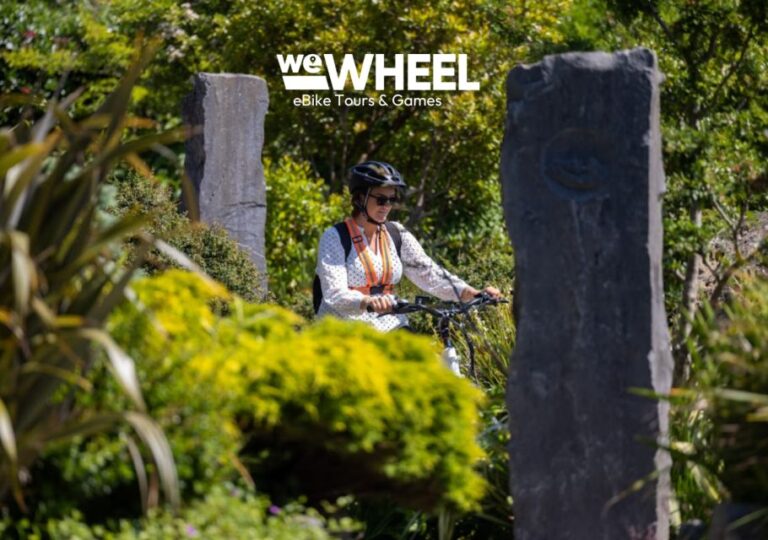 Galway: Guided Ebike City Sightseeing Tour