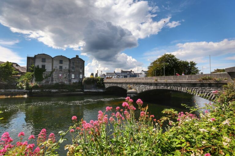 Galway: Private Historic Walking Tour With a Local Guide