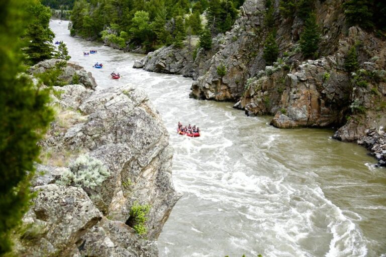 Gardiner: Yellowstone River Half-Day Whitewater Rafting