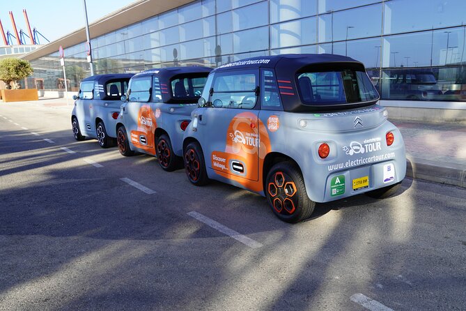 Gastronomic Tour in Montes De Malaga Natural Park by Electric Car